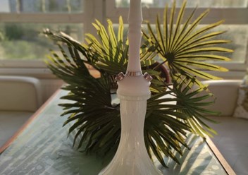 Фото компании  White Star 360 4