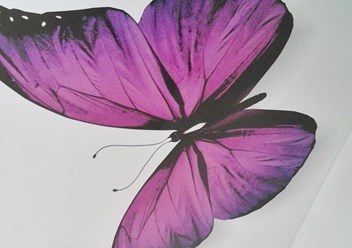 Фото компании ООО Марио-1 1