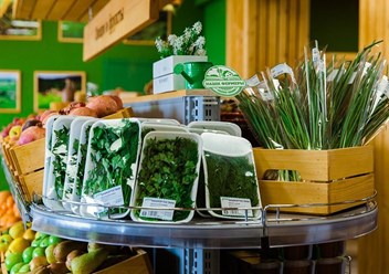 Фото компании  Ферма 1