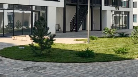 Фото компании ИП Ставропольские рулонные газоны 3