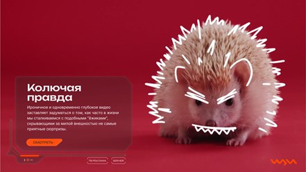 Фото компании ООО Щи Продакшен 6