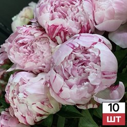 Фото компании  Не Букет 10