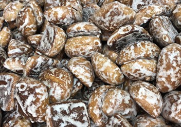 Фото компании ИП Иванов серик абрамович 3