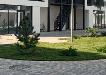 Фото компании ИП Ставропольские рулонные газоны 3