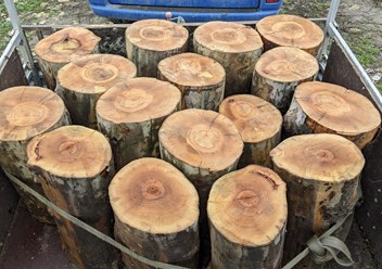 Фото компании  Drevanet 4