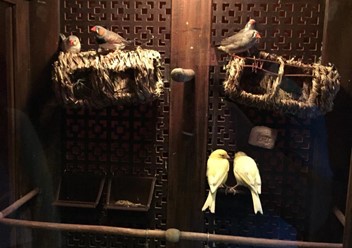 Фото компании  БлэкВуд 5