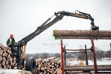 Фото компании ООО «ГосЛесФонд» 4