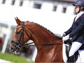 Фото компании ООО Эквиплан Спорт Нескучный 4