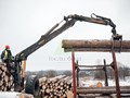 Фото компании ООО «ГосЛесФонд» 4