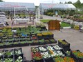 Фото компании ООО Оазис Маркет 2
