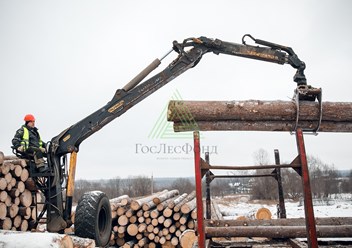 Фото компании ООО «ГосЛесФонд» 4