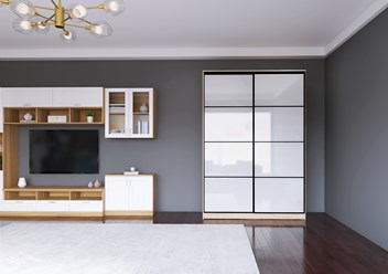 Шкаф-купе Макс-22