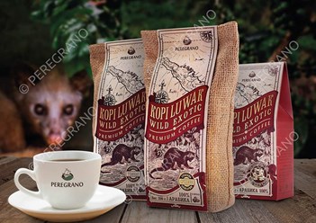 Копи Лювак – самый дорой экзотический сорт кофе