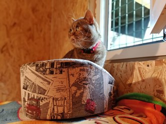 Фото компании  Зоогостиница "Маяк" 9