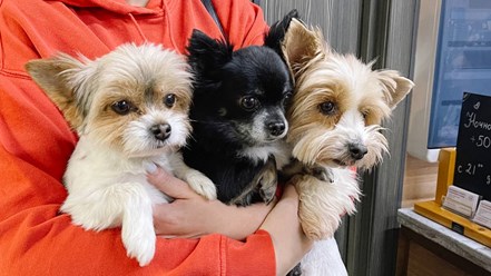 Фото компании ООО Планета 3