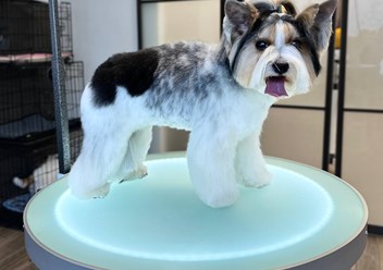 Фото компании  UrbanDog 2