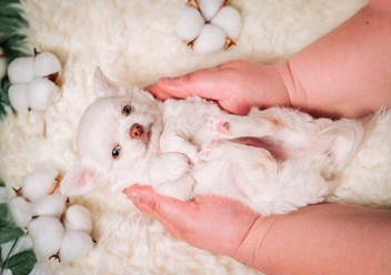 Фото компании  Алькор Флейм 1