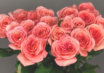 Фото компании  Цветочный магазин  "Букетыроз" 6