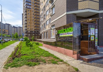 Фото компании  ВертиХвостка 3