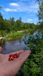 Фото компании  "Узола" 17