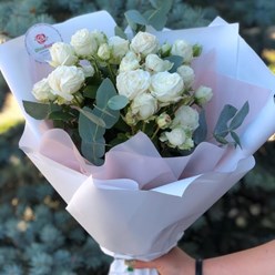 Фото компании  Diva Roza 2