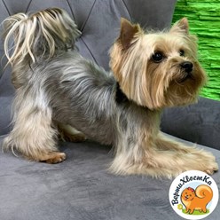 Фото компании  ВертиХвостка 8