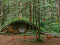 Веревочный парк