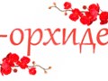 Фото компании  Орхидея 1