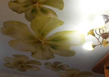 Фото компании ИП Аквадрат38 1