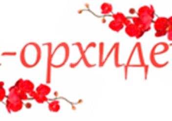 Фото компании  Орхидея 1