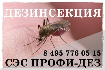 #дезинфекция 
#уничтожениеклопов 
#дезинсекция 
#уничтожениеклопов 
#уничтожениенасекомых 
#дезинсекцияколомна 
#дезинфекцияколомна 
#уничтожениекомаровколомна 
#уничтожениеклоповколомнепрофидез