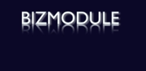 BIZMODULE