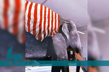 РЕШЕНИЕ НЕСТАНДАРТНЫХ ЗАДАЧ: когда нужно создать слона
