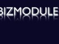 BIZMODULE