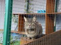 Фото компании  «Юна» 5