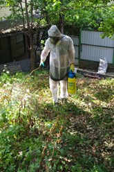 Фото компании  Dez Service Туапсе 2