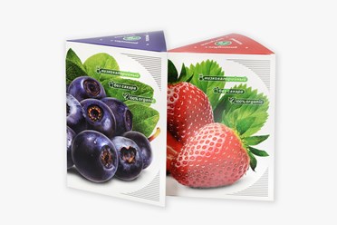 Фото компании ООО Райтбокс 5