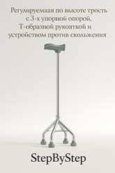 Фото компании ИП StepByStep 14