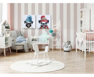 Фото компании  TELFER home 11