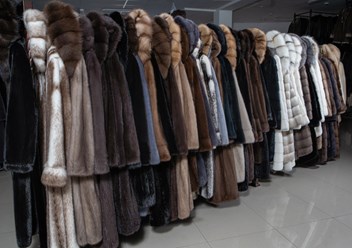 Фото компании  Меховая фабрика "Эдита" 6