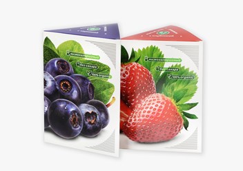 Фото компании ООО Райтбокс 5