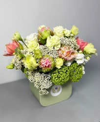 Фото компании  JustFlor 6