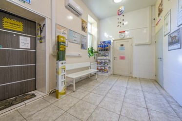 Фото компании  Манол 4