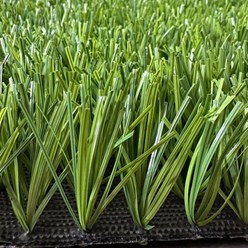 Фото компании  Армада Грасс 4