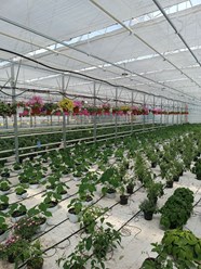Фото компании ООО Исток 5