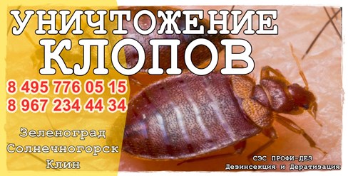 #дезинфекция 
#уничтожениеклопов 
#дезинсекция 
#уничтожениеклопов 
#уничтожениенасекомых 
#дезинсекцияколомна 
#дезинфекцияколомна 
#уничтожениекомаровколомна 
#уничтожениеклоповколомнепрофидез