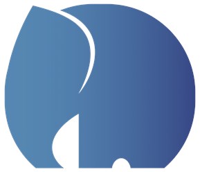 Webmart Group – логотип