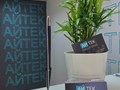 Фото компании  Айтек 6