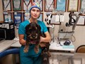 Фото компании  Центр ветеринарной офтальмологии доктора Шилкина А.Г. на  5-ой Парковой 1