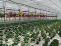 Фото компании ООО Исток 5